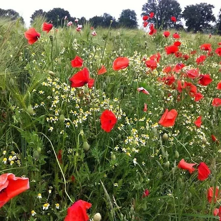 Апартаменты Old Warehouse Мюнстер