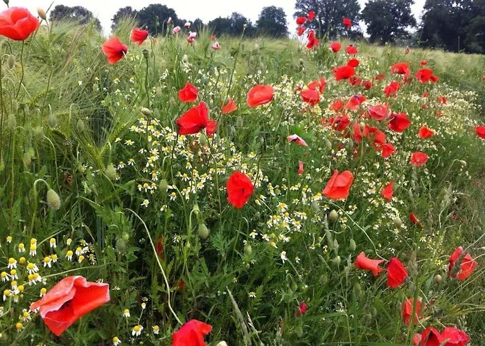 公寓 Old Warehouse 蒙斯特